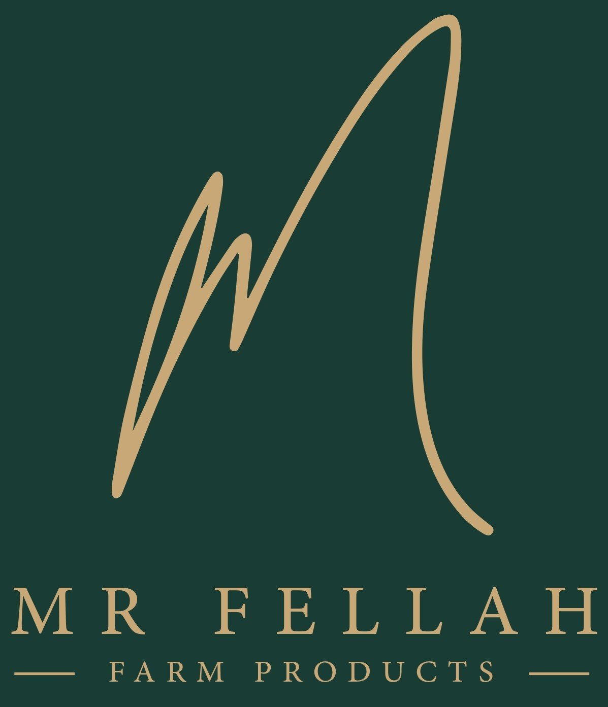 Mr Fellah