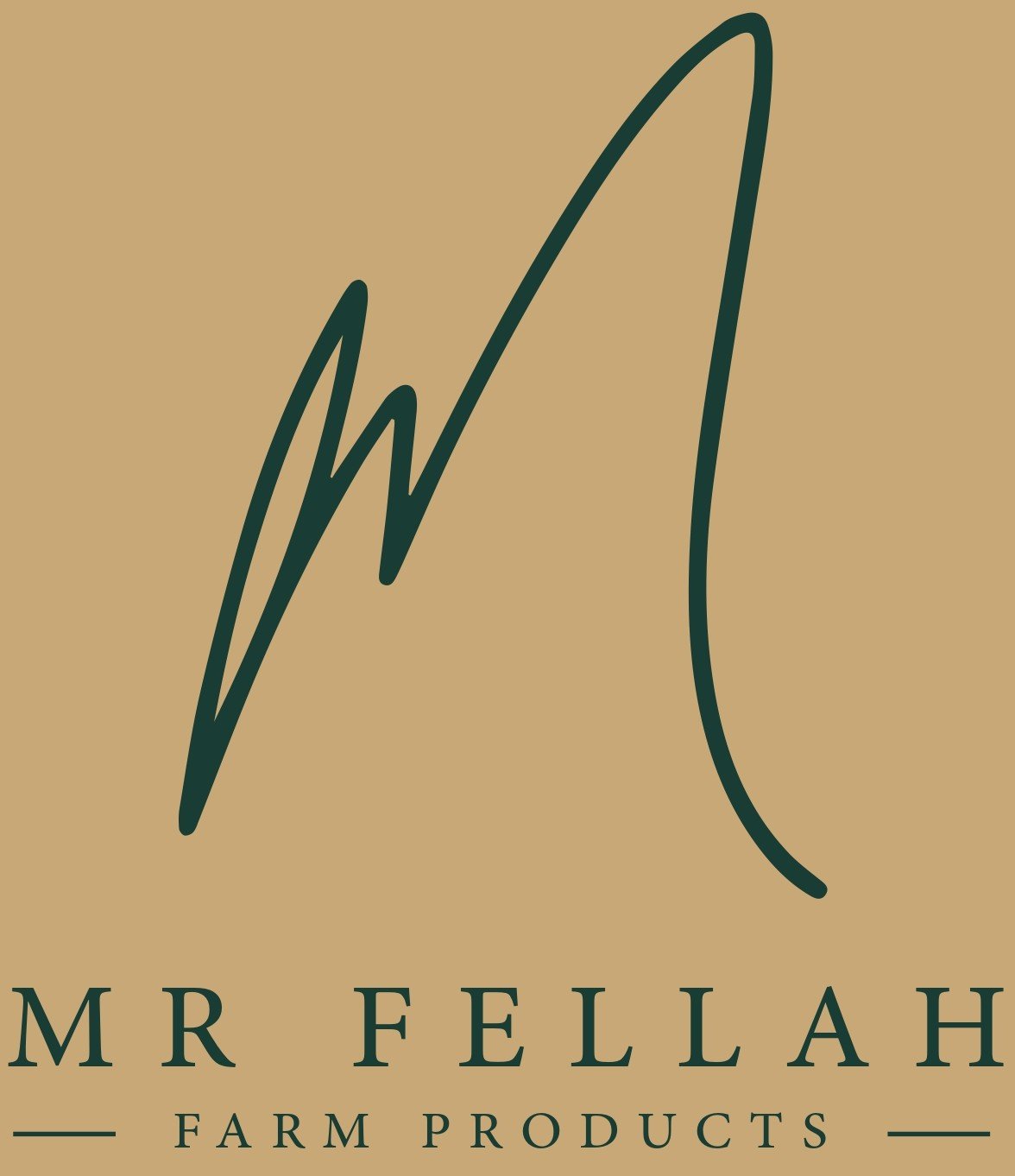 Mr Fellah