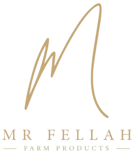 Mr Fellah