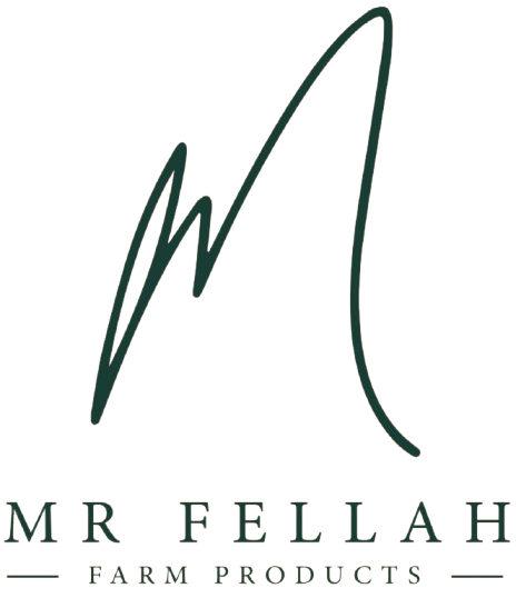 Mr. Fellah